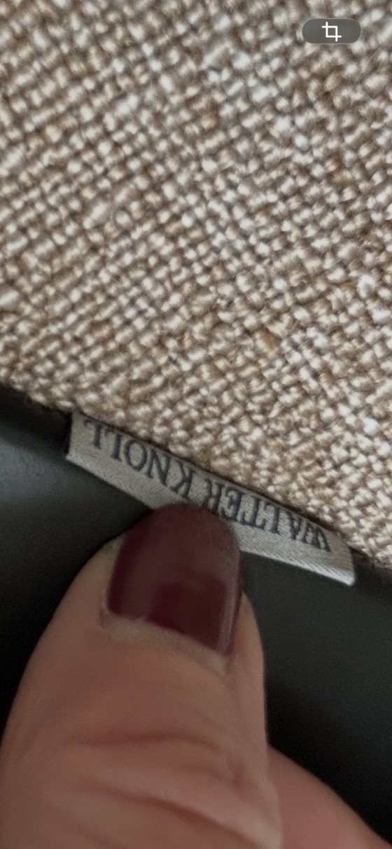 Sedie originali Walter Knoll Sheru – Sedie da pranzo, Cotone (photo 2 of 6)