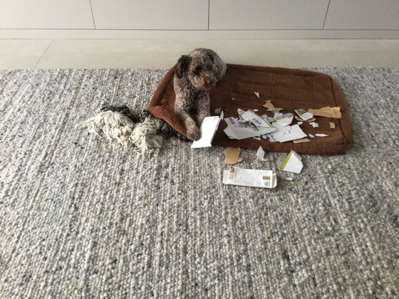 Image 1 of XXXL-Teppich, Perletta Structures Pebbles, 400 x 450 cm