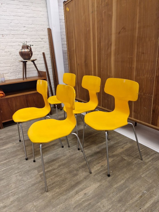 Fritz Hansen "Hammer" Sedie da pranzo (5) Modello 3103 – Arne Jacobsen (1974) – Metal, Wood, Vintage (photo 9 of 11)