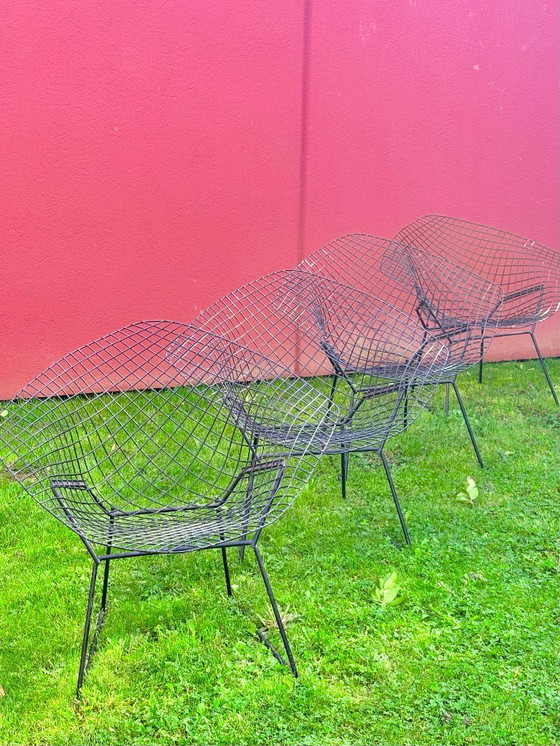 Image 1 of Poltrone Bertoia