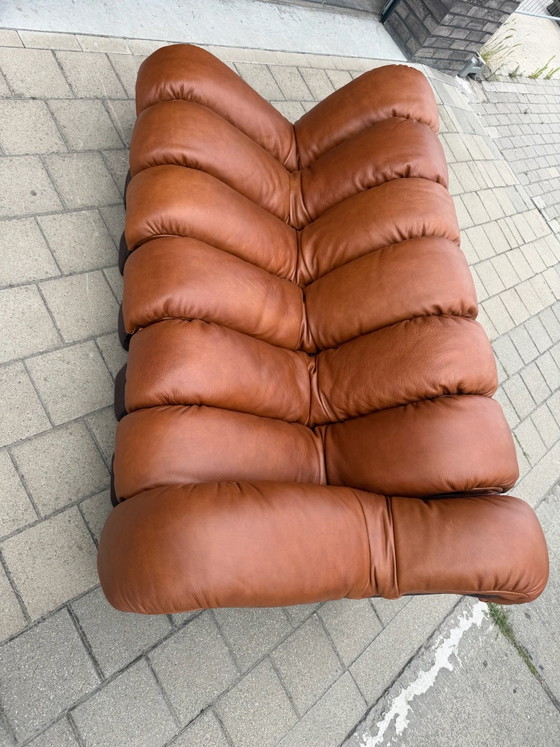De Sede Ds600 Snake en cuir Cognac, 20 éléments, Canapés modulables, Textile, Marron (photo 15 sur 15)