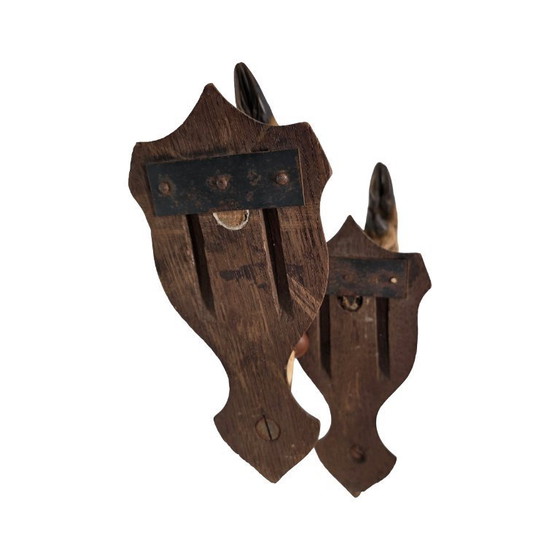 Image 1 of Portafucili francese antico di gambe, metà del XX secolo