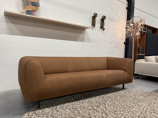 Label van den Berg Moby Dick 3 Zits Bank Waterbuffel