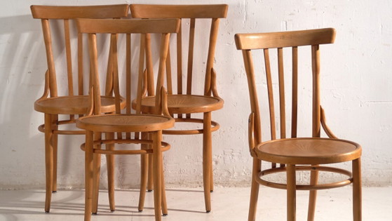 Antique chairs in Thonet style bentwood – Central Europe, circa 1930 #1 – Dining chairs (photo 3 of 40)