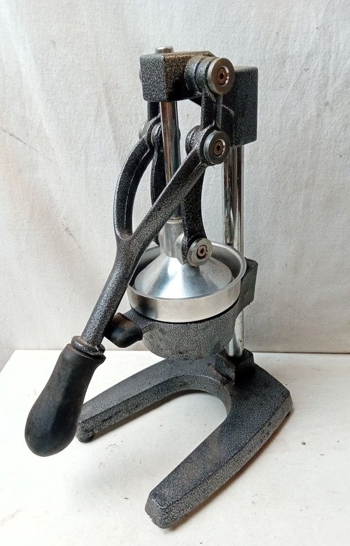 Industrielle Saftpresse