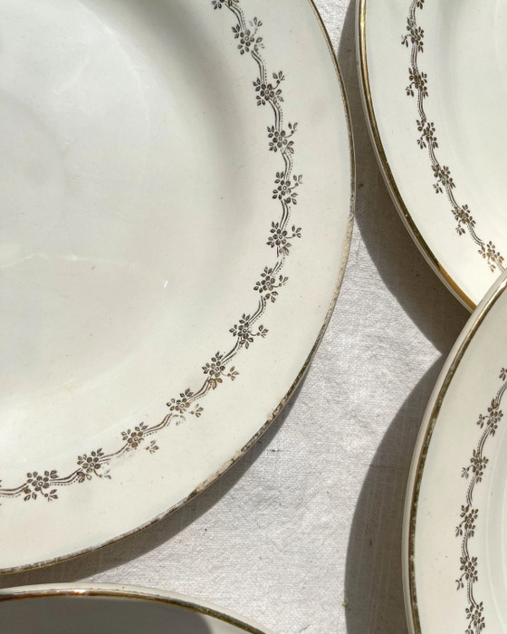 6 Platos DIGOIN SUZY de Porcelana Opaca – Loza (photo 9 of 10)