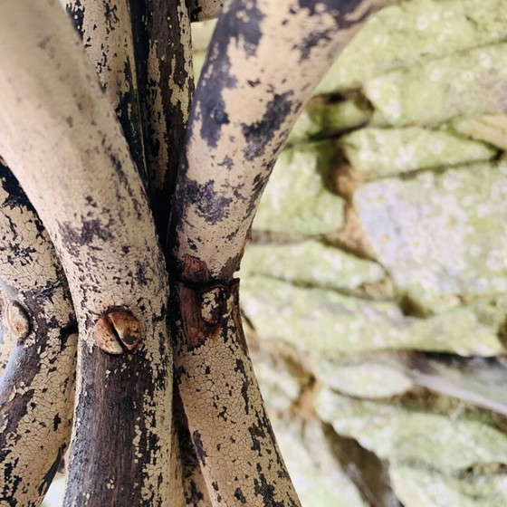 Image 1 of Perchero medio loro de madera curvada - Thonet - Modelo n°1