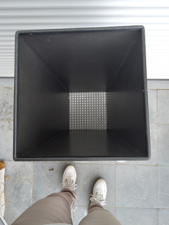 Image 1 of Escarabajo Borek Sipek