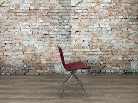 Image 1 of Viccarbe Klip