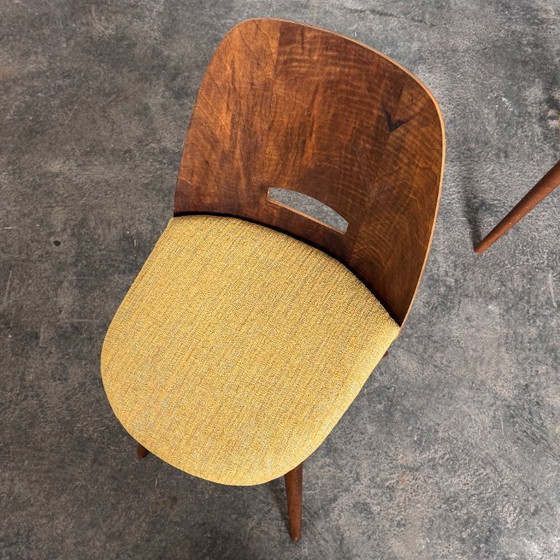 Image 1 of Juego de cuatro sillas "Lollipop" totalmente reformadas de František Jirák para Tatra Nábytok, años 60