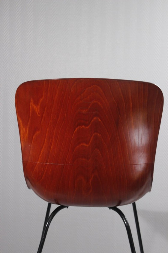Image 1 of Pagholz & Elmar Flötotto - Model 1507 chair circa 1960