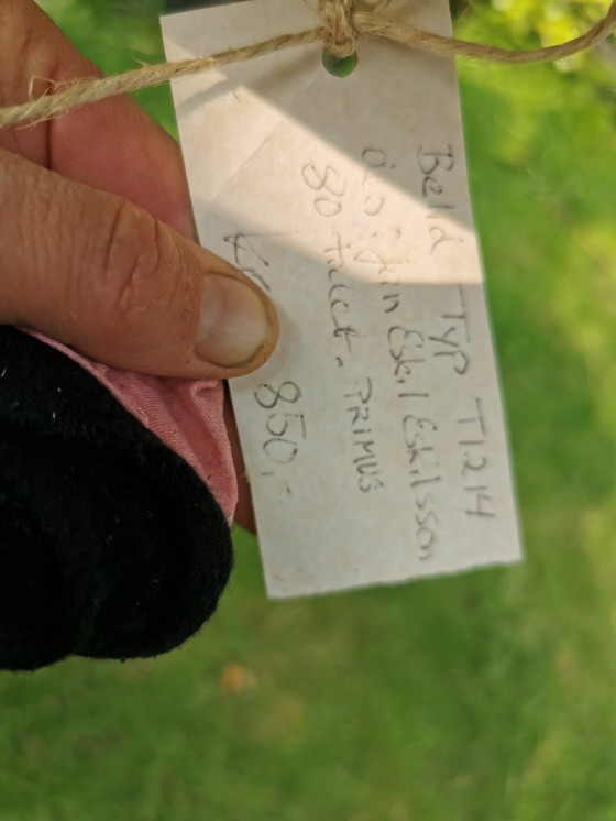 Image 1 of First Belid