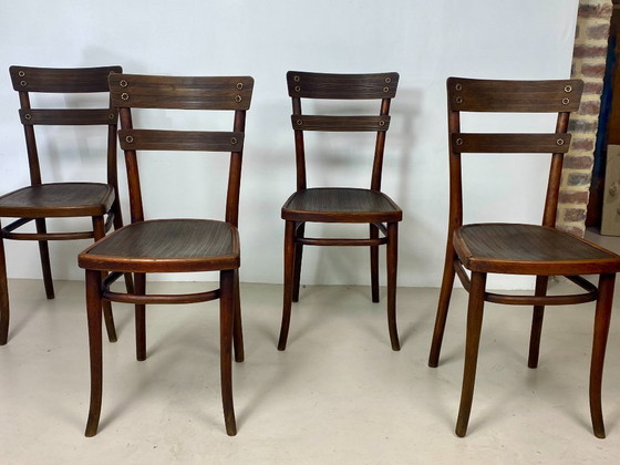 Image 1 of Juego de 4 sillas Thonet de madera de haya – Modelo n.º 651