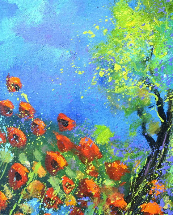 Image 1 of Red Poppies