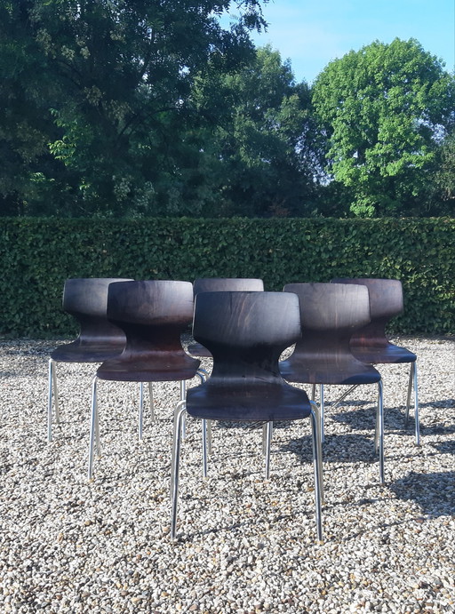 Set Flötotto Pagholz eetkamerstoelen   palisander 