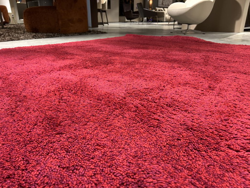 Kinast Kodiak rug - 200x250