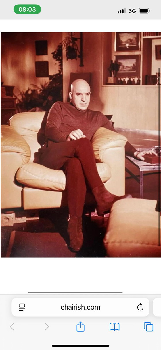 Image 1 of De Sede Bank Relax Stand