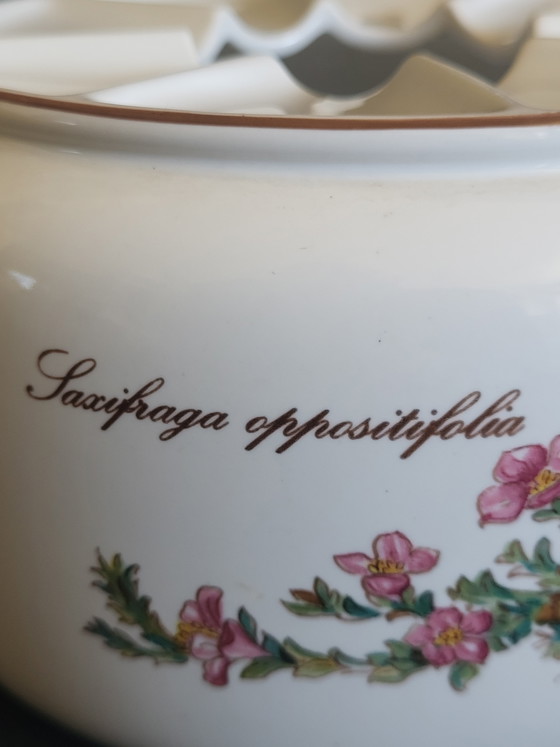 Image 1 of Teiera vintage con lumino Villeroy & Boch Botanica