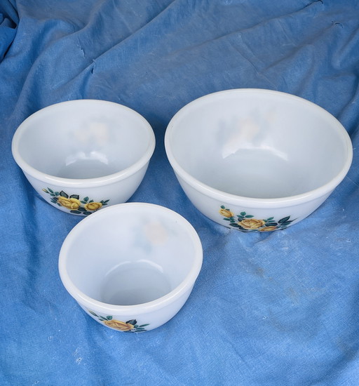 Set aus drei Vintage-Gerichten von Phoenix