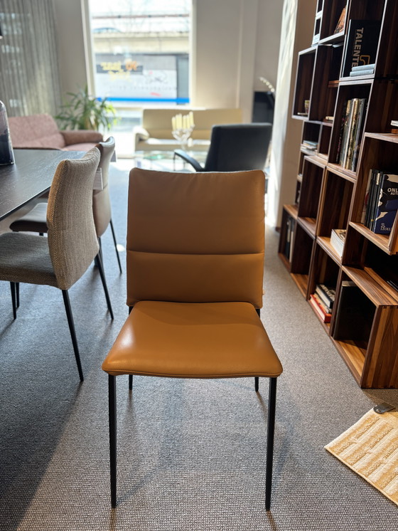 Image 1 of 6x Esszimmerstuhl Ascot von Brand Jori