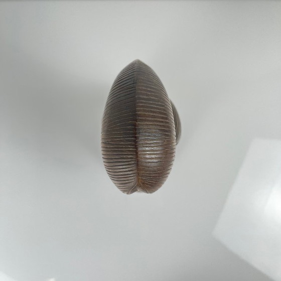 Image 1 of Busto femminile intagliato a mano in legno nero, stile Baoulé, 1960/90