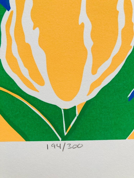 Image 1 of Ann T. Cooper - Primavera - Vintage Silkscreen 1980s