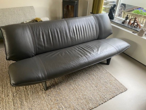Leolux Tango, 2.5-seater sofa, leather