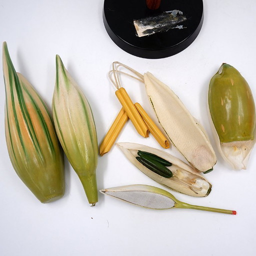 Botanisches Modell einer Weizenblüte aus Osterloh, Deutschland, 1940er/50er Jahre