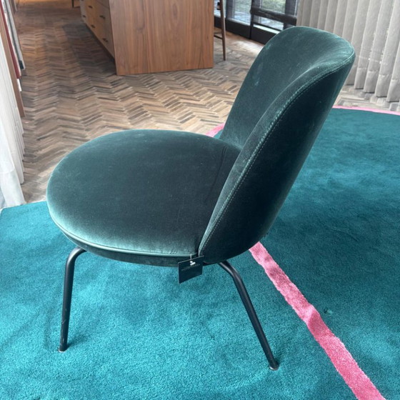 Wittmann Merwyn 29612 Poltrona Lounge – Poltrone, Metal, Velvet (photo 3 of 5)