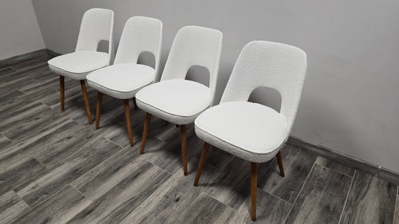 Image 1 of Eetkamerstoelen van Oswald Haerdtl voor Ton