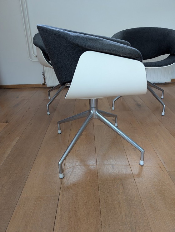 Image 1 of 4 sedie Sina B&B Italia