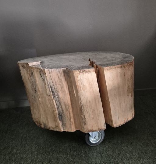 Baumstammtisch