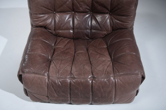 Image 1 of Atemberaubender, patinierter Kashima Lounge Chair (1982) von Michel Ducaroy - Ligne Roset