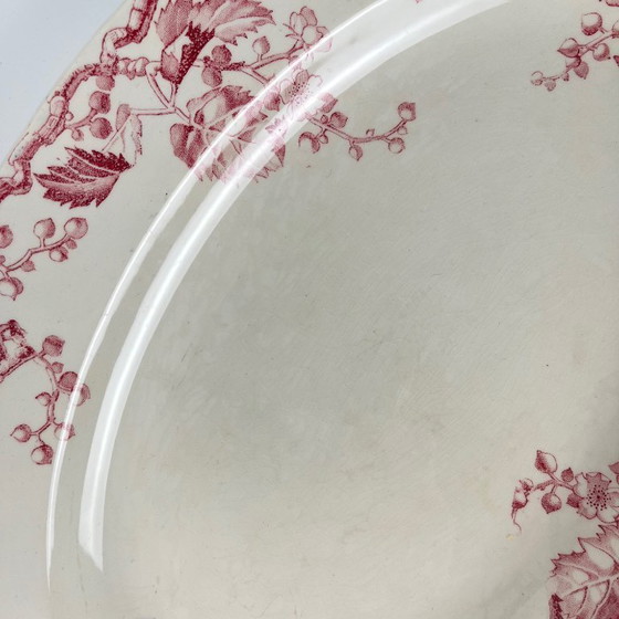 Image 1 of Piatto ovale in gres porcellanato KG Lunéville, "Fontainebleau", rosa, XIX secolo