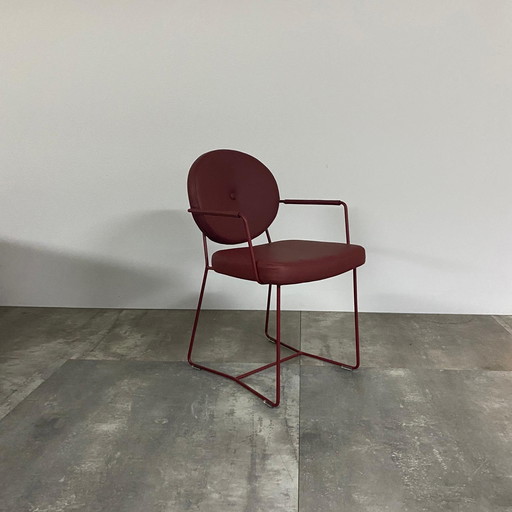 Ensemble de 6 Daisy Plus