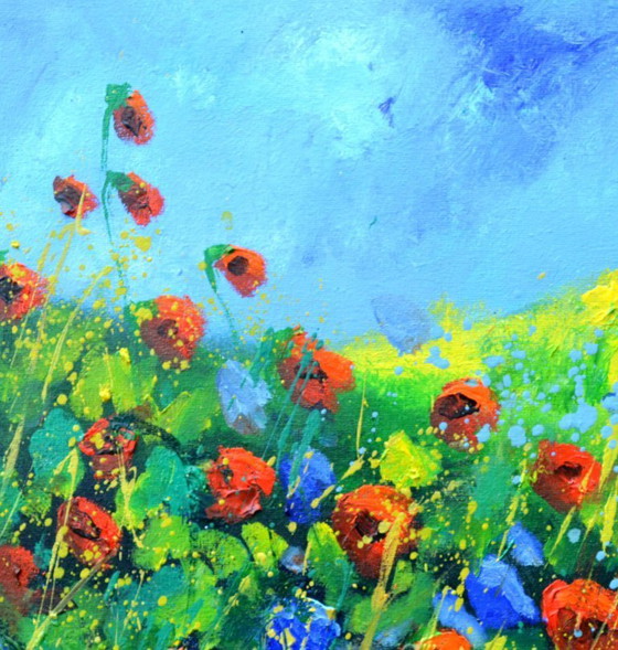 Image 1 of Amapolas rojas