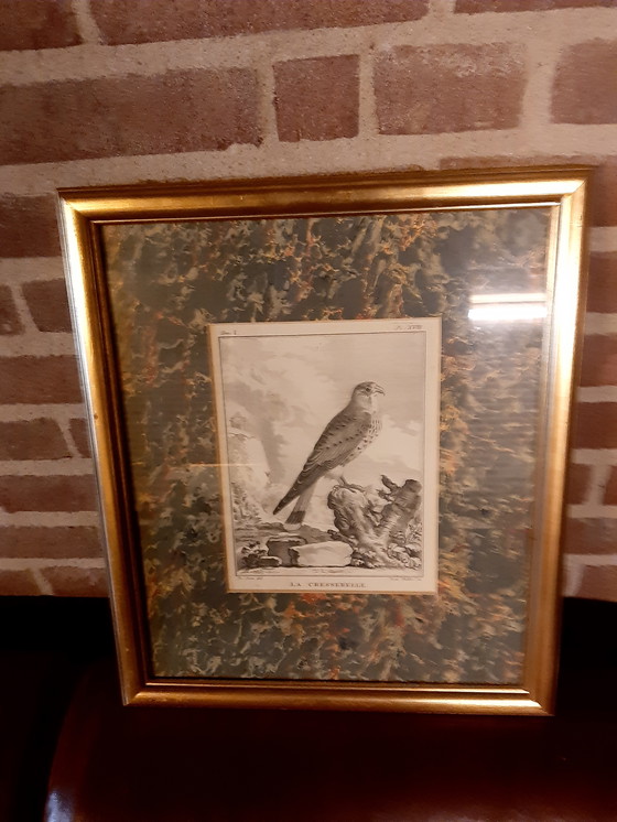 Image 1 of Die Cresserelle