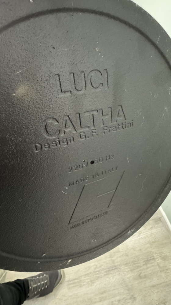Gianfranco Frattini "Caltha" Floor light (model CB2) by Luci Italia – Metal (photo 13 of 15)