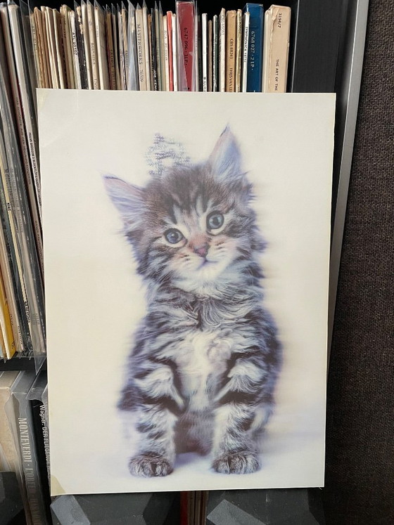 Impresión lenticular, Gatito, Multicolor, Láminas artísticas, 1990 (foto 6 de 11)