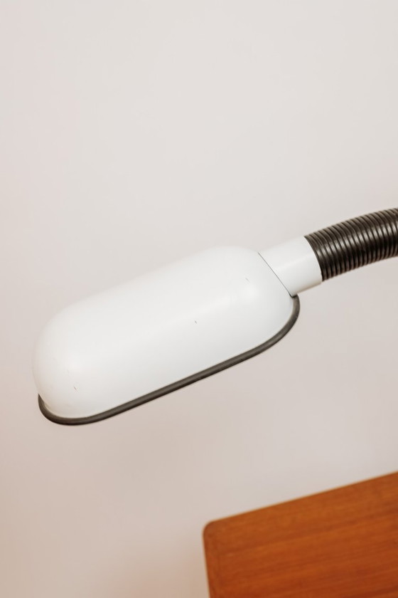 Image 1 of Lampe de bureau Hala vintage à armature flexible, années 1950/60