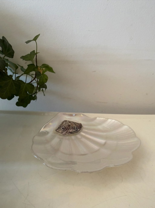 Mother-of-pearl shell dish