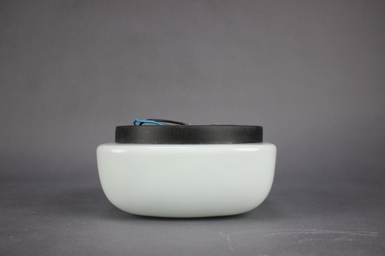 Image 1 of Aplique de pared de mediados de siglo, Checoslovaquia, 1960