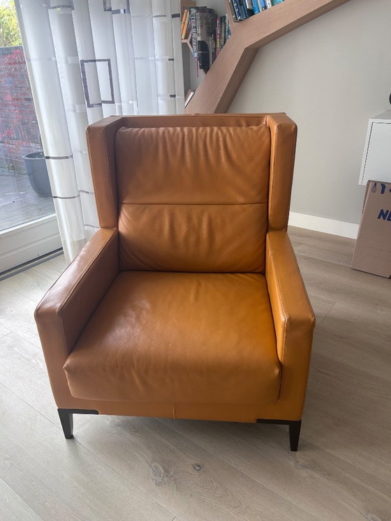 Cognac-colored leather armchair, Wood, Brown, Modern (photo 2 of 5)