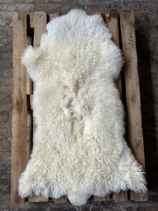 Piel de oveja blanca natural | 120x60x7cm