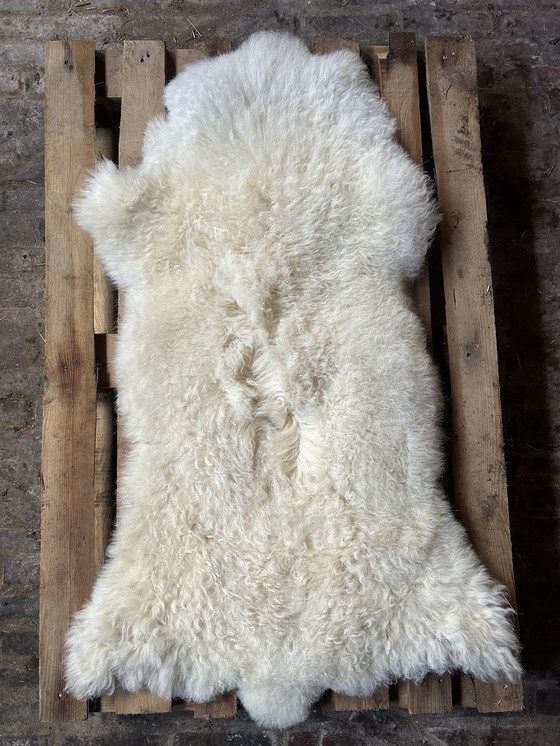 Image 1 of Piel de oveja blanca natural | 120x60x7cm