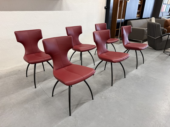 Image 1 of 6 Leolux Callas dining chair Senso Brick