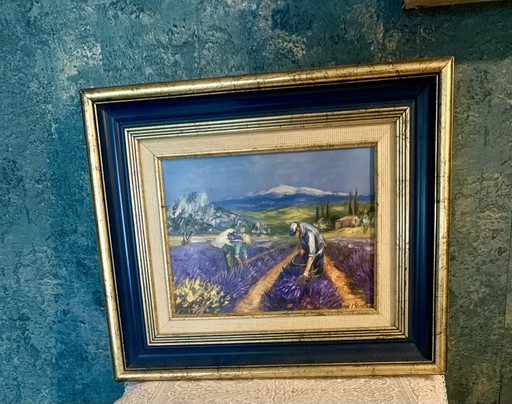 Provence - Lavendelernte von Michel Christophe