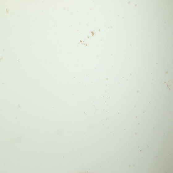 Image 1 of Antieke Spiegel Bladgoud 19de Eeuw