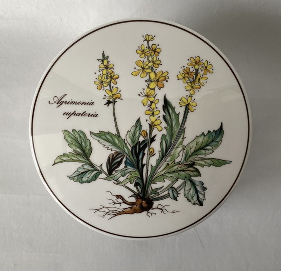 Image 1 of Villeroy & Boch Botanica Deckeldosen