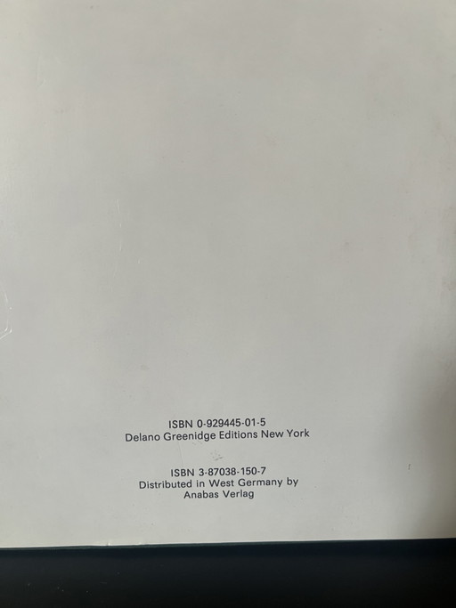 Zeldzaam boek over Blinky Palermo 1943-1977 monografie abstracte kunst 